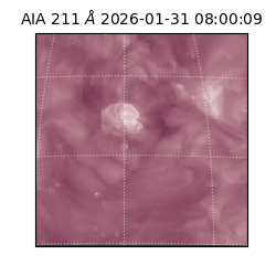 saia - 2026-01-31T08:00:09.626000