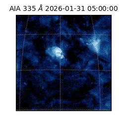 saia - 2026-01-31T05:00:00.622000