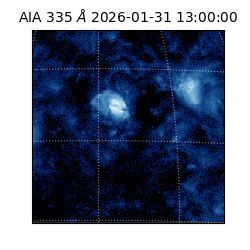 saia - 2026-01-31T13:00:00.632000