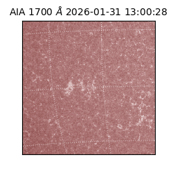 saia - 2026-01-31T13:00:28.720000