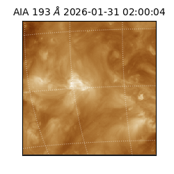 saia - 2026-01-31T02:00:04.846000