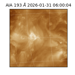 saia - 2026-01-31T06:00:04.843000