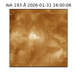saia - 2026-01-31T16:00:06.936000