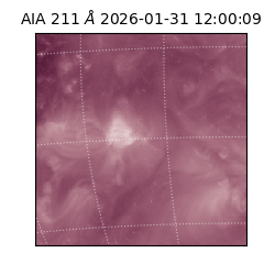 saia - 2026-01-31T12:00:09.626000