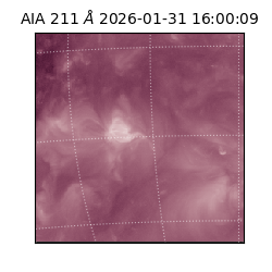 saia - 2026-01-31T16:00:09.626000