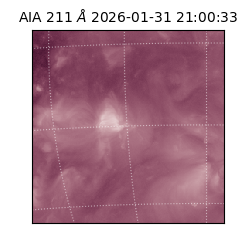 saia - 2026-01-31T21:00:33.629000