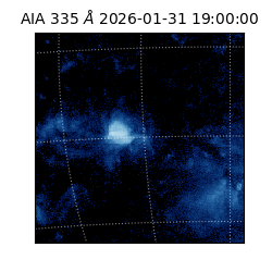 saia - 2026-01-31T19:00:00.626000