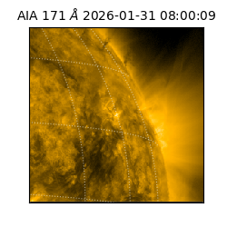 saia - 2026-01-31T08:00:09.350000