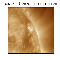 saia - 2026-01-31T21:00:28.843000