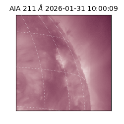 saia - 2026-01-31T10:00:09.622000