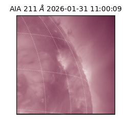 saia - 2026-01-31T11:00:09.626000
