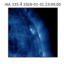 saia - 2026-01-31T23:00:00.632000