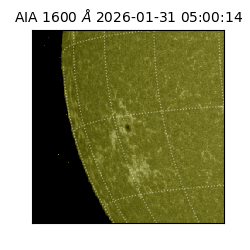 saia - 2026-01-31T05:00:14.126000