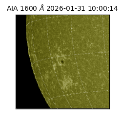 saia - 2026-01-31T10:00:14.126000