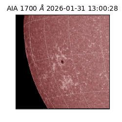 saia - 2026-01-31T13:00:28.720000