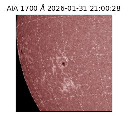 saia - 2026-01-31T21:00:28.726000