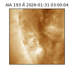saia - 2026-01-31T03:00:04.843000