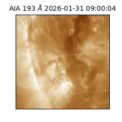 saia - 2026-01-31T09:00:04.843000