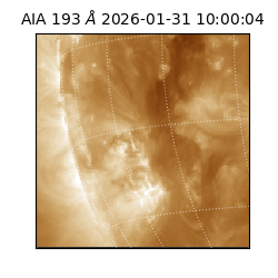 saia - 2026-01-31T10:00:04.843000