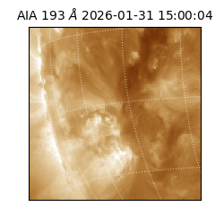 saia - 2026-01-31T15:00:04.843000