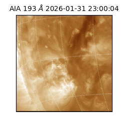 saia - 2026-01-31T23:00:04.843000