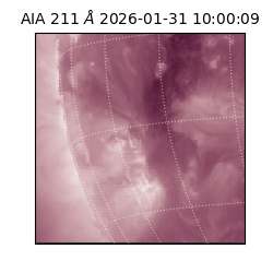 saia - 2026-01-31T10:00:09.622000