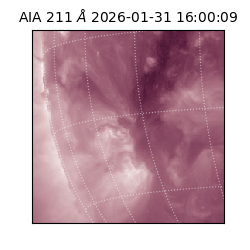 saia - 2026-01-31T16:00:09.626000