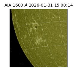saia - 2026-01-31T15:00:14.126000