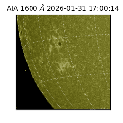 saia - 2026-01-31T17:00:14.126000