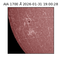 saia - 2026-01-31T19:00:28.710000