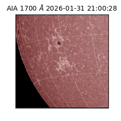 saia - 2026-01-31T21:00:28.726000
