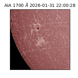 saia - 2026-01-31T22:00:28.733000