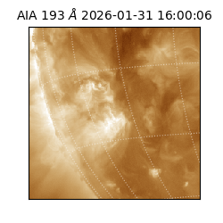 saia - 2026-01-31T16:00:06.936000