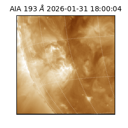 saia - 2026-01-31T18:00:04.843000