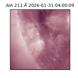 saia - 2026-01-31T04:00:09.626000