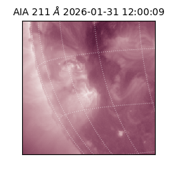 saia - 2026-01-31T12:00:09.626000
