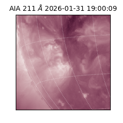 saia - 2026-01-31T19:00:09.626000