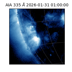saia - 2026-01-31T01:00:00.626000