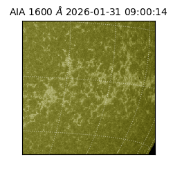 saia - 2026-01-31T09:00:14.125000