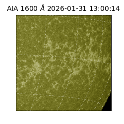 saia - 2026-01-31T13:00:14.126000