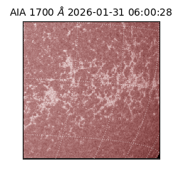 saia - 2026-01-31T06:00:28.717000