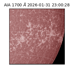 saia - 2026-01-31T23:00:28.717000