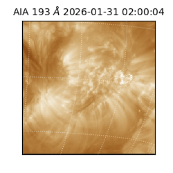saia - 2026-01-31T02:00:04.846000
