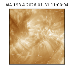 saia - 2026-01-31T11:00:04.843000