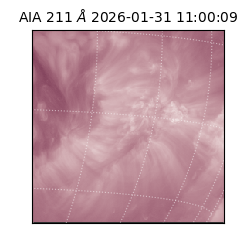 saia - 2026-01-31T11:00:09.626000