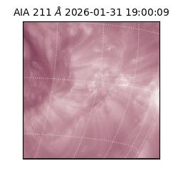 saia - 2026-01-31T19:00:09.626000