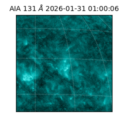 saia - 2026-01-31T01:00:06.622000