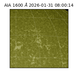 saia - 2026-01-31T08:00:14.126000