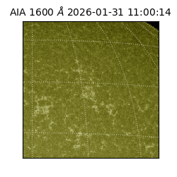 saia - 2026-01-31T11:00:14.126000