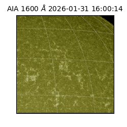 saia - 2026-01-31T16:00:14.125000